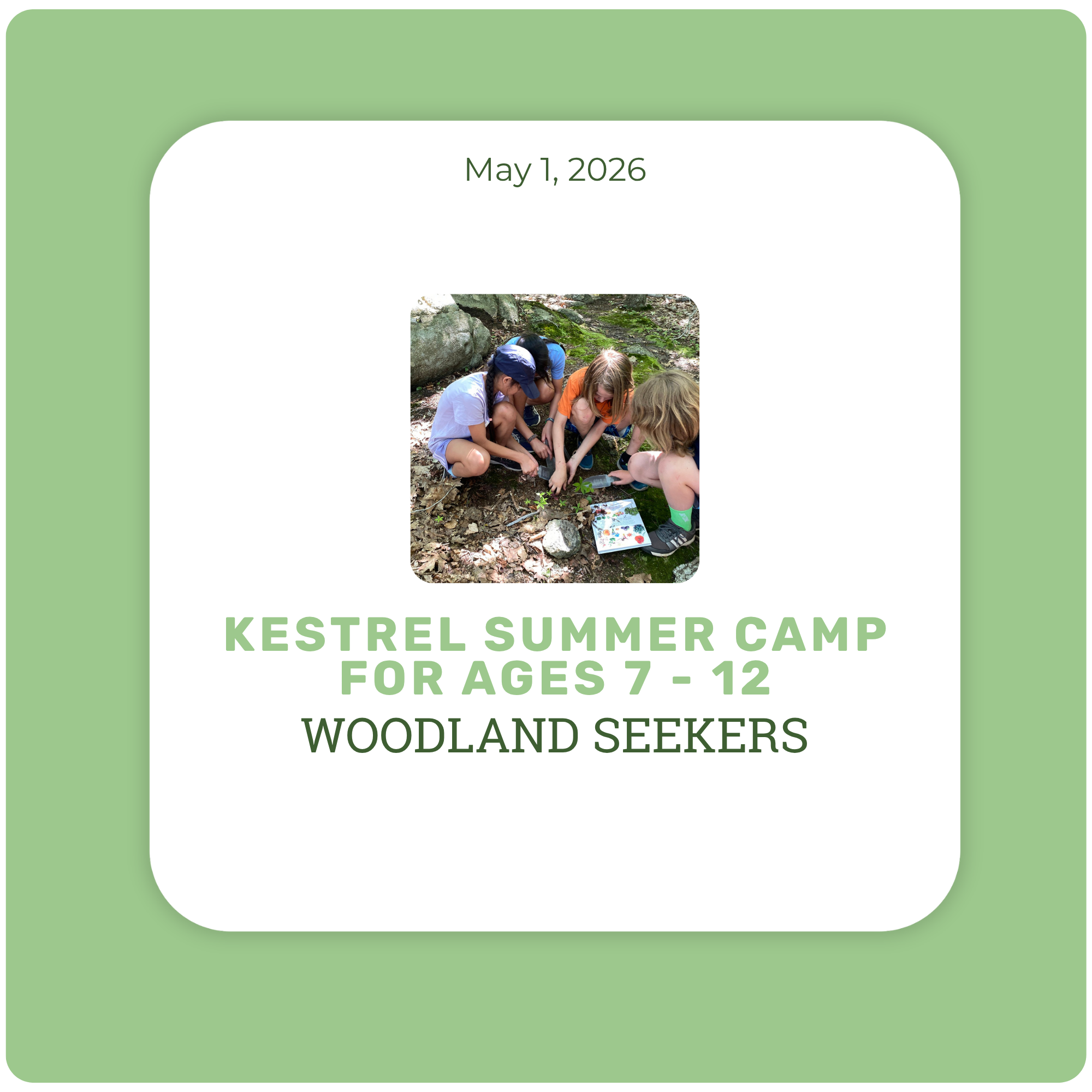 Kestrel's Woodland Seekers Camp for Ages 7-12