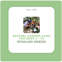 Kestrel's Woodland Seekers Camp for Ages 7-12