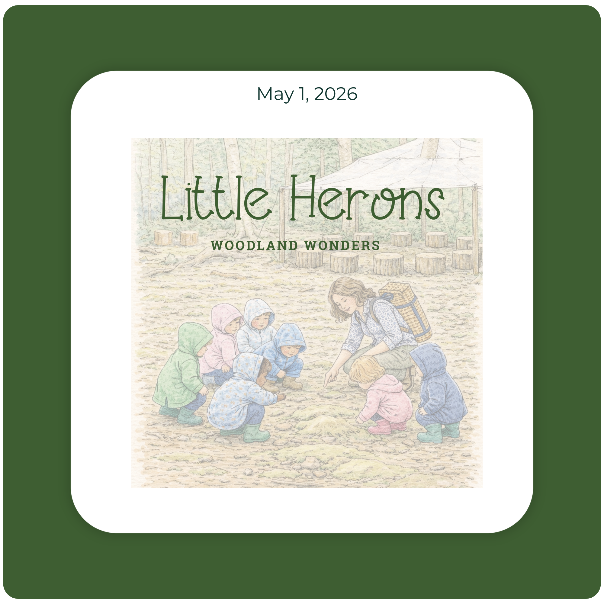 Little Herons SPRING 2026