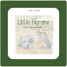 Little Herons SPRING 2026