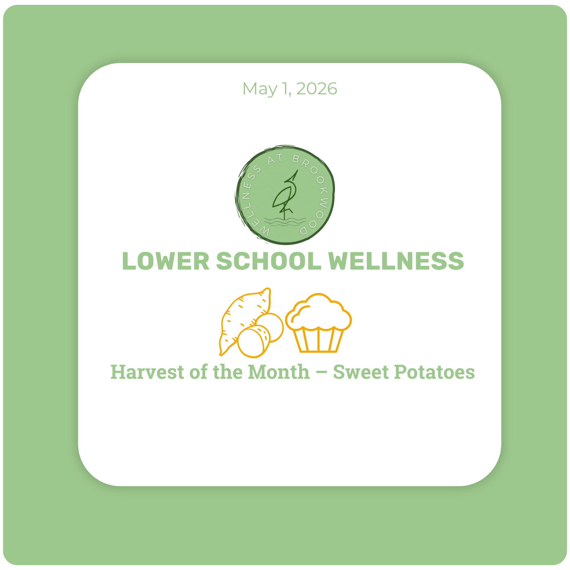 Lower School Wellness; Harvest of the Month – Sweet Potatoes